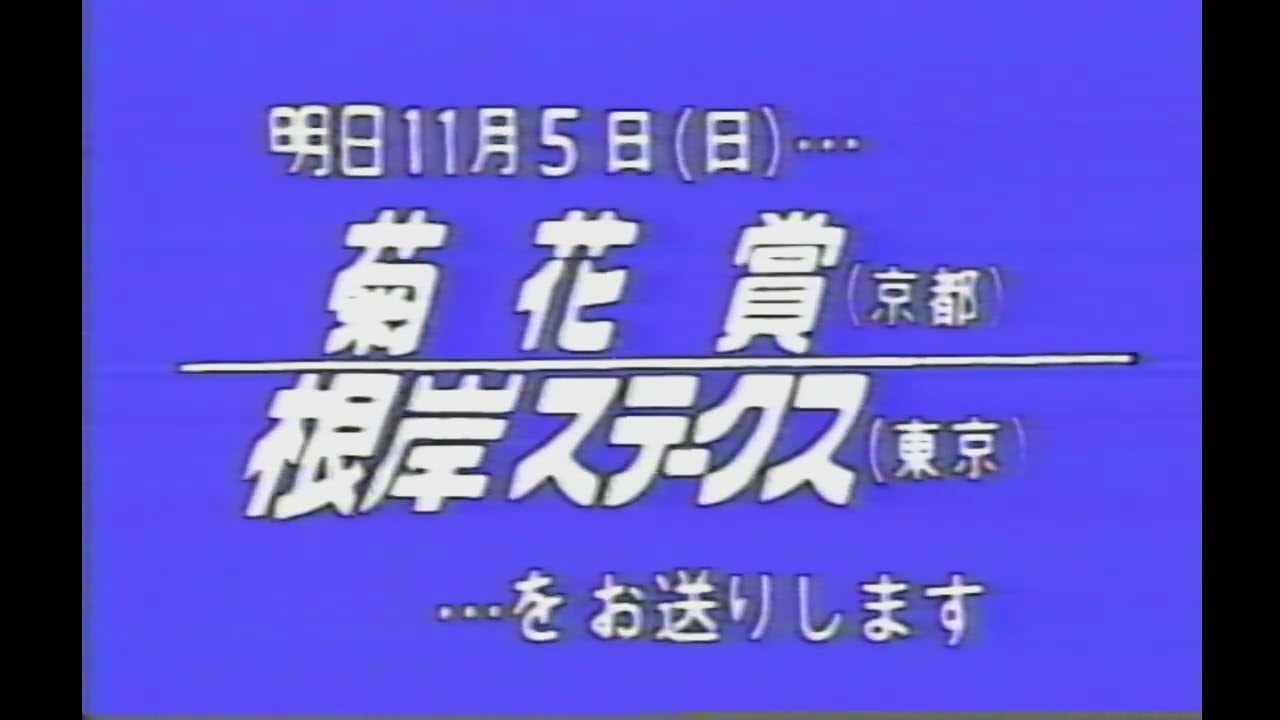 競馬ファンに【ダービーニュース１９８９年カレンダー】 懐かしの「中央競馬ダイジェスト」1989年 菊花賞・前日 - YouTube