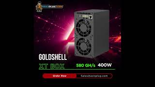 Goldshell XT Box 580G