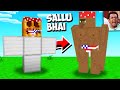 I Spawned SALLU BHAI In Minecraft !!  [Cursed Minecraft Part 2]