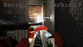 Cüneyt Yılmaz - Gülpembe  Cover