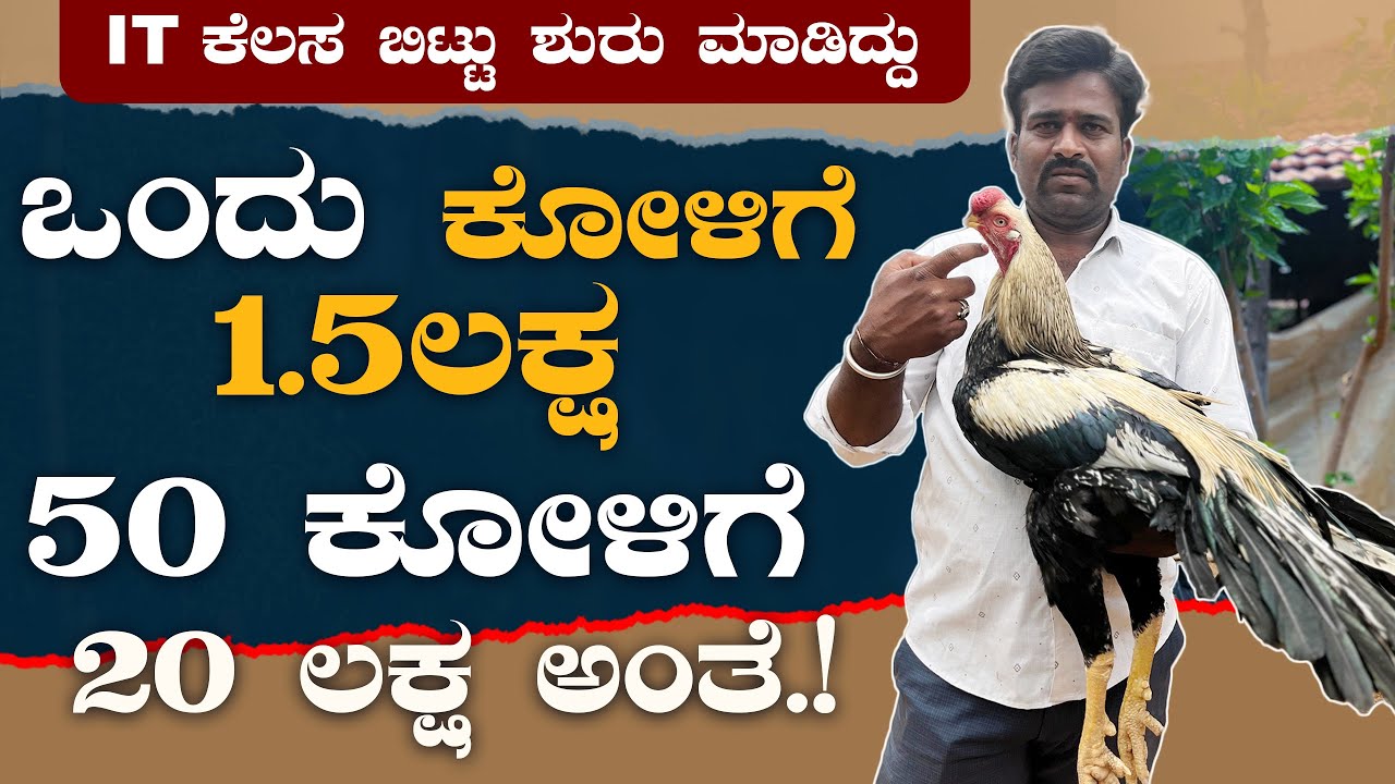 ಪ್ಯಾರೆಟ್ ಬೀಕ್ ಕೋಳಿ ಸಾಕುವುದು ಹೇಗೆ ಗೊತ್ತಾ? How to Farm Parrot Beak Chickens | Kannada Farmer