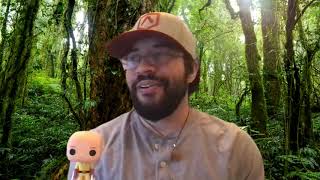 Road To Developer: Most commonly asked Lambda questions