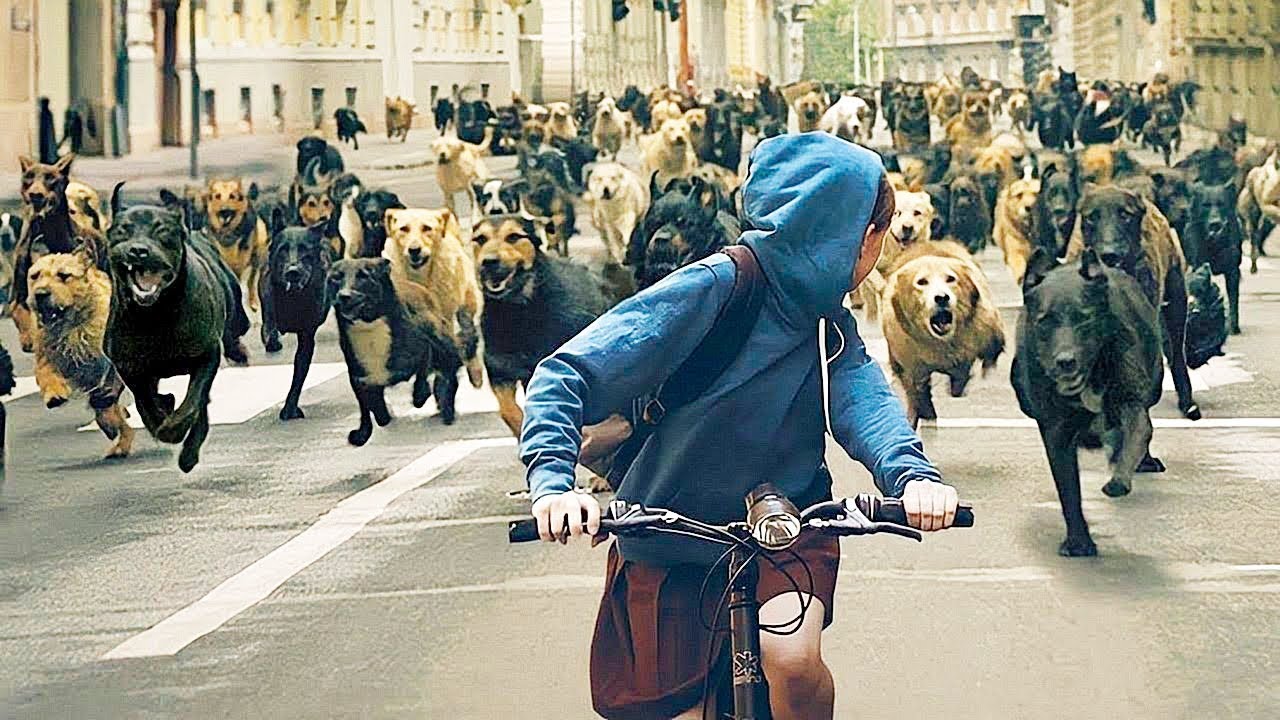 Король собак собрал армию бездомных собак, чтобы отомстить людям — краткое содержание.