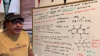 Nitrogenous Wastes Biology Dat Oat Exam Dat Destroyer