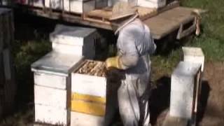 palahoney.farm