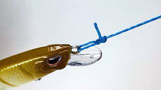 How to Tie the Duncan Loop | Beginner's Fishing Knots Guide
