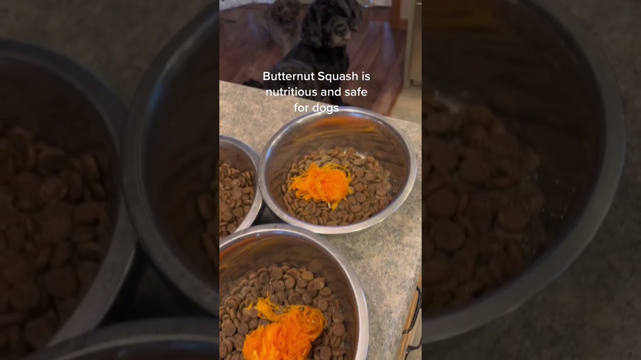 Butternut Squash treat for dogs 