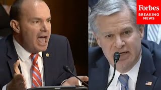 'You Have A Lot Of Gall, Sir!': Mike Lee Explodes At FBI's Wray Over Agents' Abuses