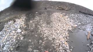 CLIP0017.mp4