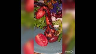 CIBO WINE BAR REVIEW