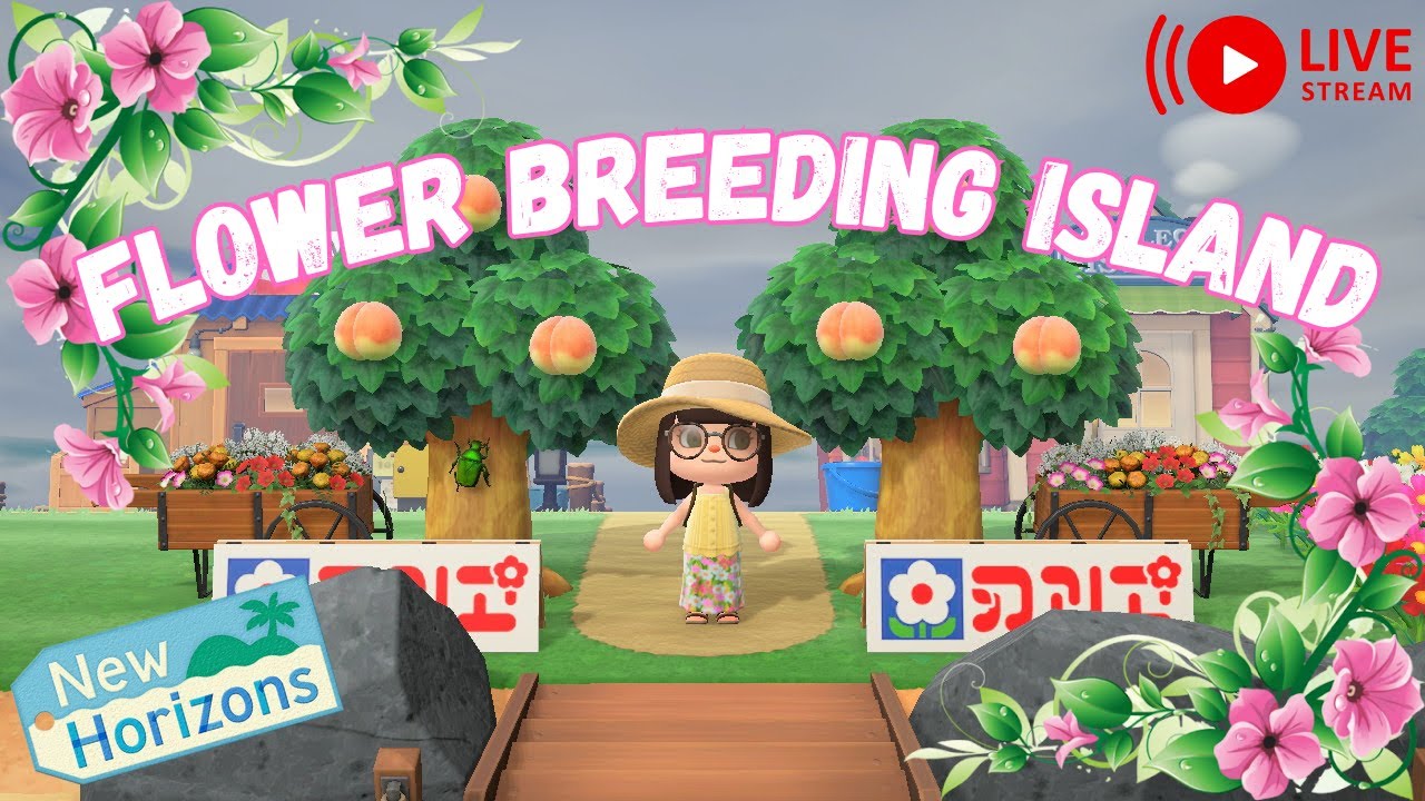 🌺 I'm trying to breed every flower in ACNH 💐 Bring your watering cans! | Let's Play Livestream