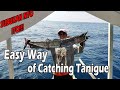 Easy catch BIG/GOOD Size WAHOO tanigue/PAGHULI NG TANIGUE GAMIT ANG ROBOT-ROBOT (NAKA-PITO)