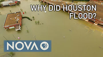 What cities did Hurricane Harvey hit in Texas?