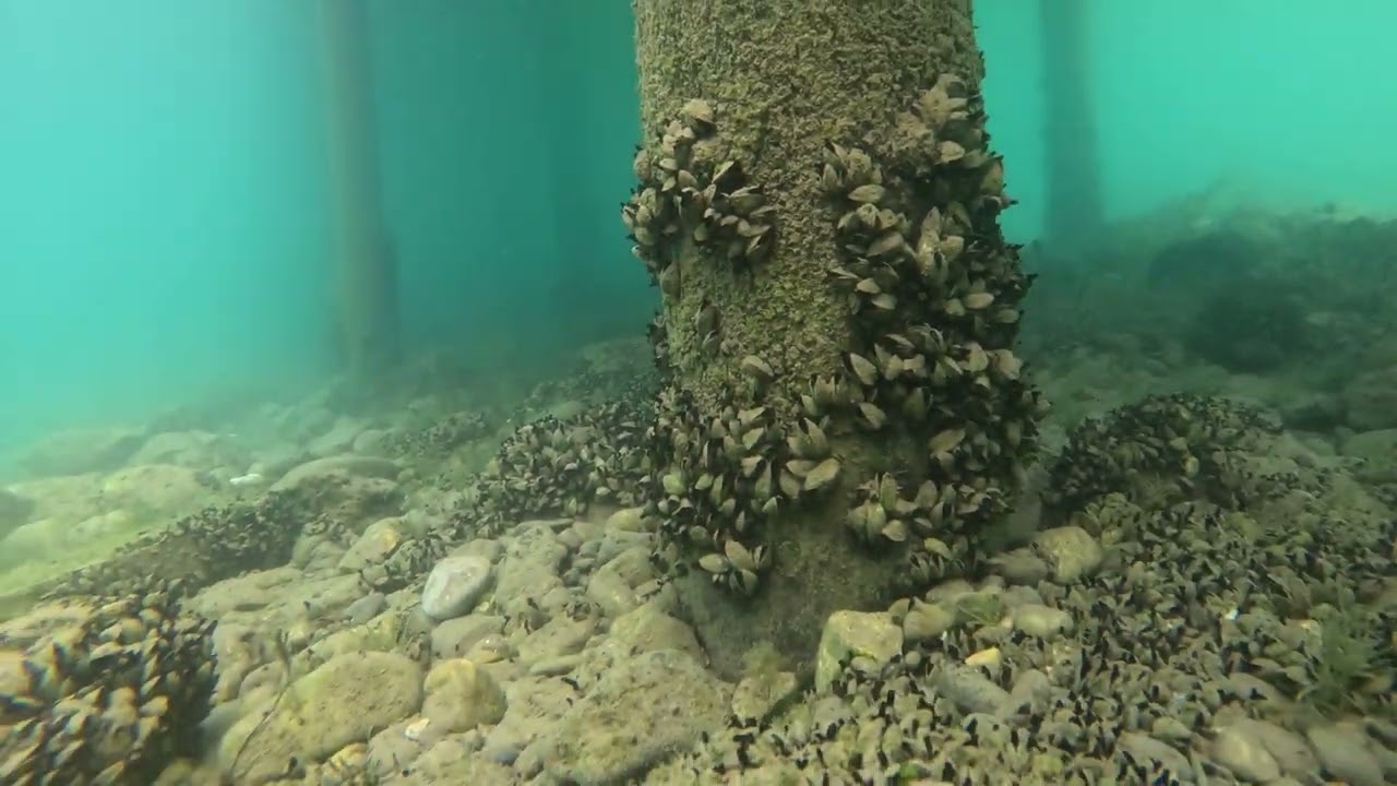 GoPro on a string | Lake Ohrid Pogredec Albania (Ambient)