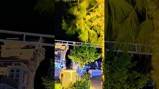 Beautiful 4k video New city Phase 2 wah cantt Islamabad 🤍😍🖤👀👑