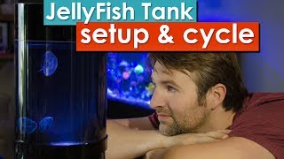 Jellyfish Tank Setup and cycling  Learn how to prepare and cycle your desktop jellyfish tank