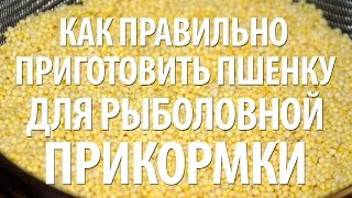 Пшенная каша для рыбалки - как приготовить правильно(В видео, как правильно готовится пшенная каша для рыбалки..., 2015-05-19T13:39:35.000Z)