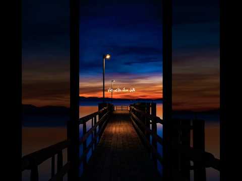 مسكين وغلبان قالولي بعديك خلاص خلاص ضاع تامر عاشور