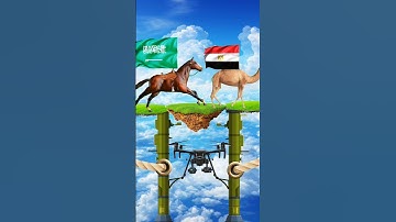 Flags fly animation #shorts #video #vfx #viralvideo #viralshorts #animals #crossing