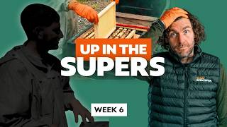 👉 Wait - WHAT Are They Doing Up There?! (Beginner Beekeeping Week 6.5)