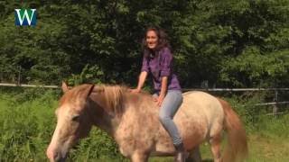 Camp Winnekeag Staff Intro 2016