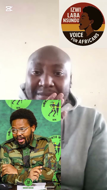 WHAT IS ANDILE MNGXITAMA'S CONTRIBUTION IN THE MK PARTY?