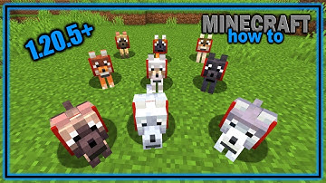 How to Find Every Wolf Variant in Minecraft! (1.20.5+) | Easy Minecraft Tutorial