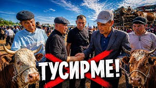 22-АПРЕЛЬ 2026/ҚАРАӨЗЕК МАЛ БАЗАРЫ/БАХАЛАРЫ ӨЗГЕРДИ!!!