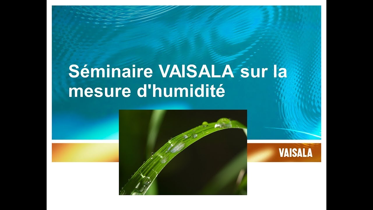 Comment optimiser les conditions de vos process industriels en mesurant l'humidité industry city food hall