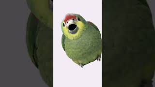 @AKUDAV AKSU #apoexam