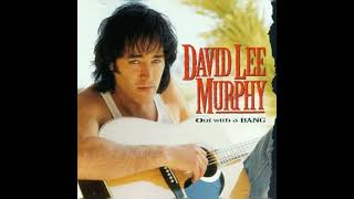 David Lee Murphy - Dust On The Bottle (Instrumental)