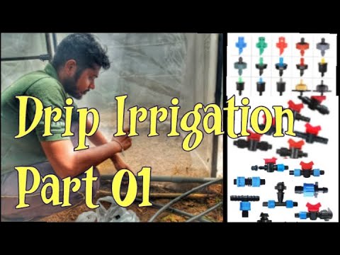 Drip Irrigation-Part 01 - YouTube