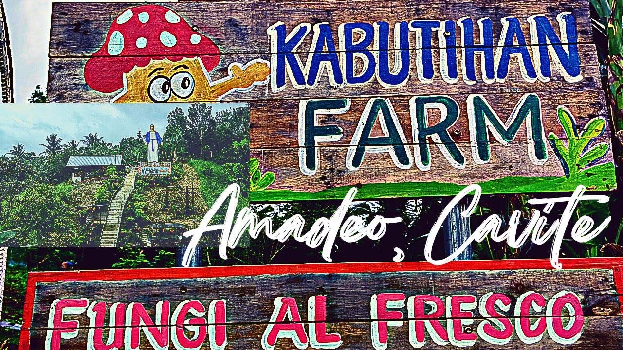 Kabutihan Farm #amadeo #kabutihanfarm #aejtv - YouTube