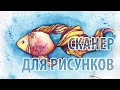 Выбираем сканер. Как выбрать сканер для рисунков. Сравнение сканеров с датчиками CCD и CIS.