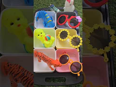 فين يا لولو حلق شعري زيرو0 وحطيت نضاره تصد الشمس ال 40  