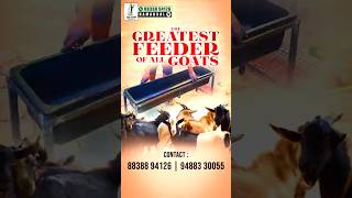 🐐 ஆடுகளின் Favourite Dining Table! | வீணாகும் தீவனத்தை லாபமாக மாற்றுங்கள்!