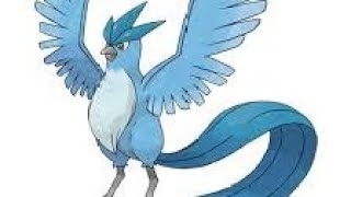 peeling Pokemon #13 Articuno peeling Pokemon #13 Articuno