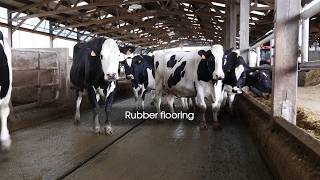 Rubber Flooring Delta Diam 16 English Subtitles