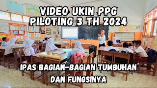 Video UKIN PPG Piloting 3 Tahun 2024 IPAS Materi Bagian-Bagian Tumbuhan dan Fungsinya