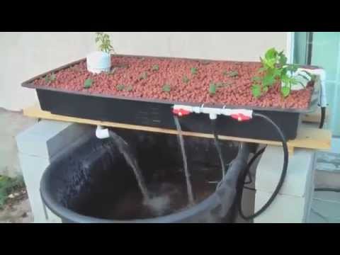  homemade-Aquaponics Made Easy With This Aquaponics Systems ! - YouTube