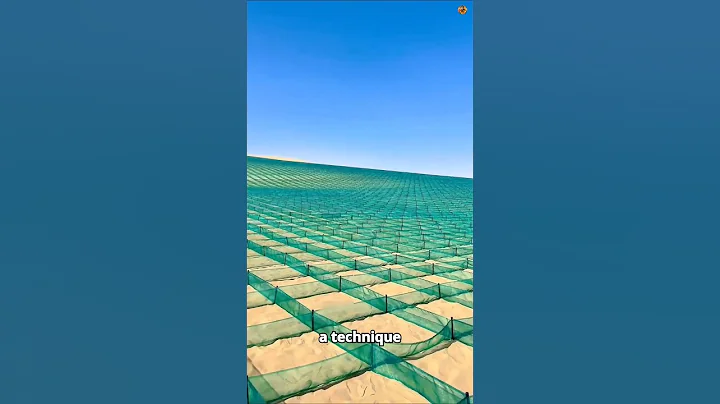 How China Is Transforming the Mongolian Desert into a Forest! 🏜️🌳