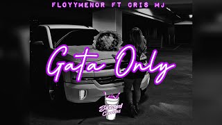 Gata Only - (slowed) (rebajada) FloyyMenor ft Cris Mj Resimi