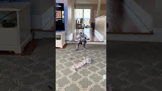 The Rake caught on camera in our house! #therake #cryptid #morphsuit