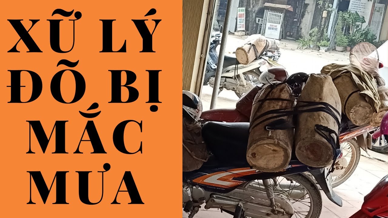 CÁCH XỮ TRÍ ĐÕ CÂU ONG BỊ MẮC MƯA.