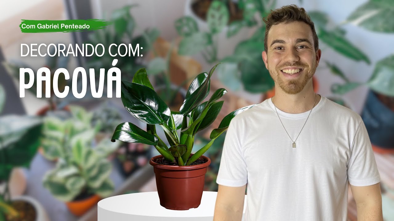 DECORANDO com a PACOVÁ | Gabriel Penteado