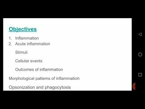 AHP Expertise Pathology Lecture-Opsonization and Phagocytosis