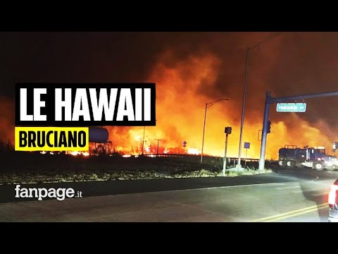 Video: C'è stato un terremoto su Oahu oggi?