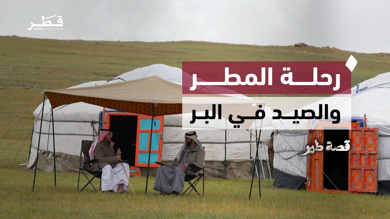 رحلة المطر والصيد في البر | قصة طير - الحلقة الثالثة (3)