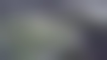 Cannabis dwc day 16 flower ace killer og