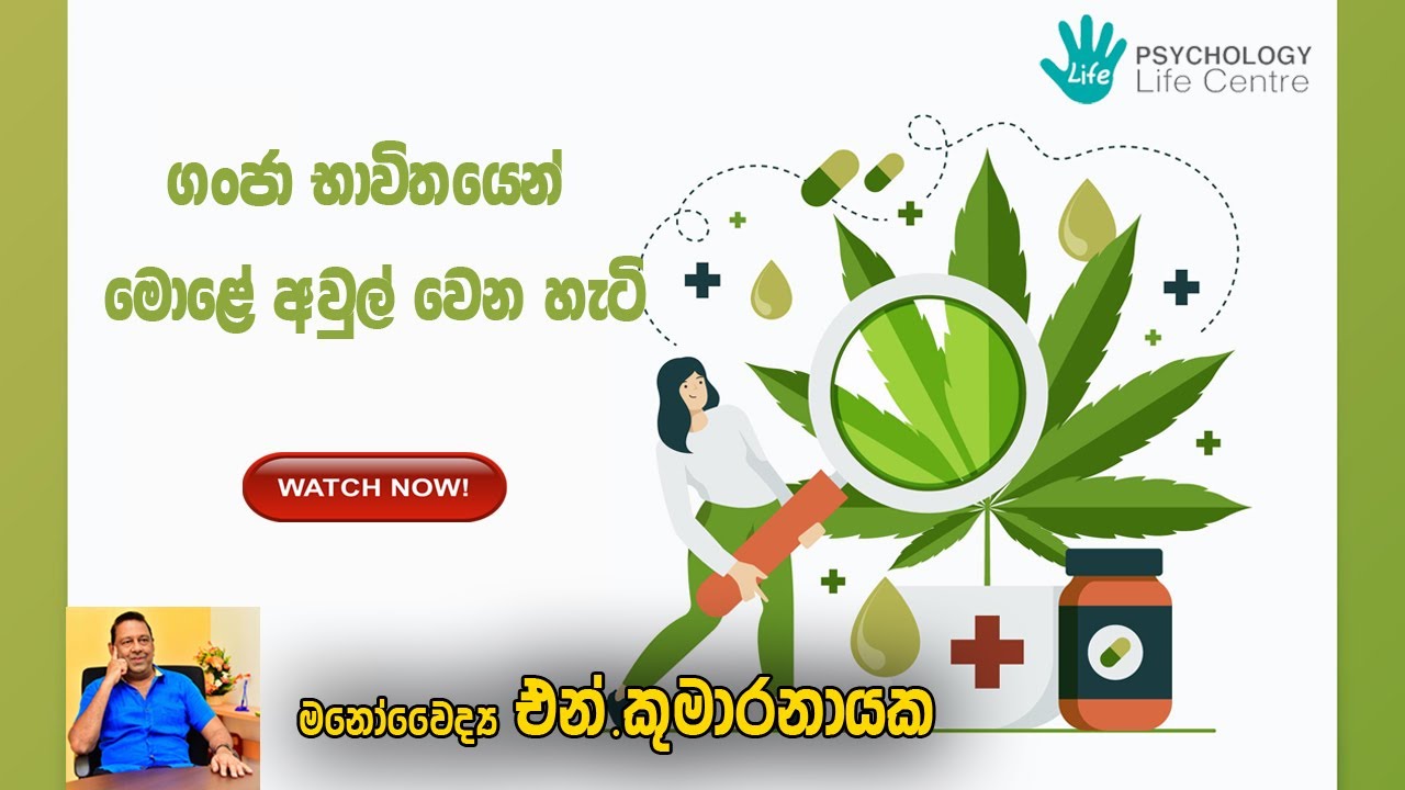 ගංජා භාවිතයෙන් මොළේ අවුල් වෙන හැටි